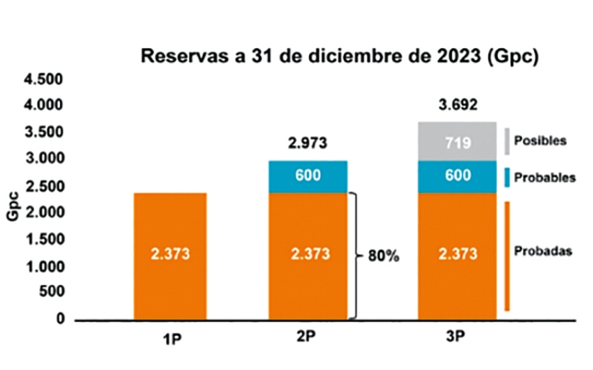 Solicitud de Asoenergía ante crisis por falta de gas para 2025