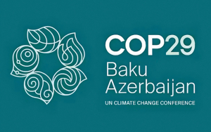 COP 29 de noviembre