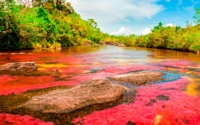 Francia destaca el liderazgo que Colombia ejerce en América Latina para la protección del medioambiente