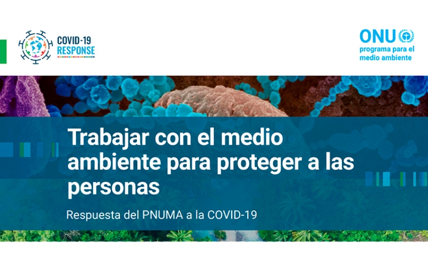 El PNUMA trabaja para reducir los riesgos de pandemias  a través de la protección ambiental