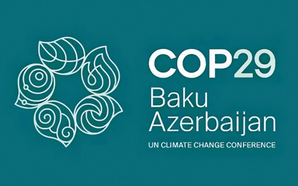 COP 29 de noviembre