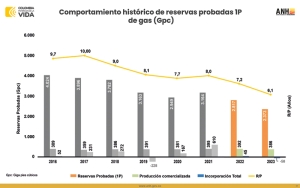 Presidenta de Naturgas: “La transición no puede sacrificar la seguridad energética”