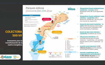 Colectora: La “punta de lanza” de la T.E. de Colombia