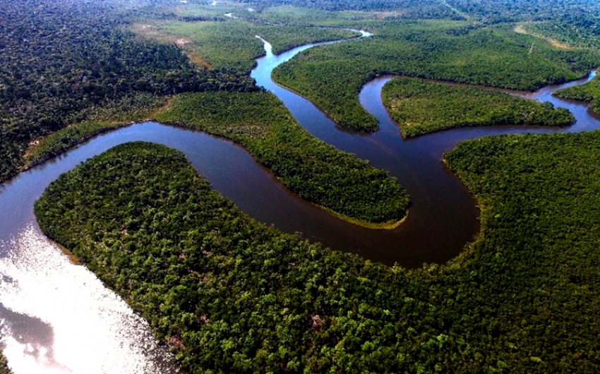 Lanzan nueva plataforma que monitorea la deforestación de la selva amazónica en tiempo real
