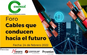 Foro: Cables que conducen hacia el futuro